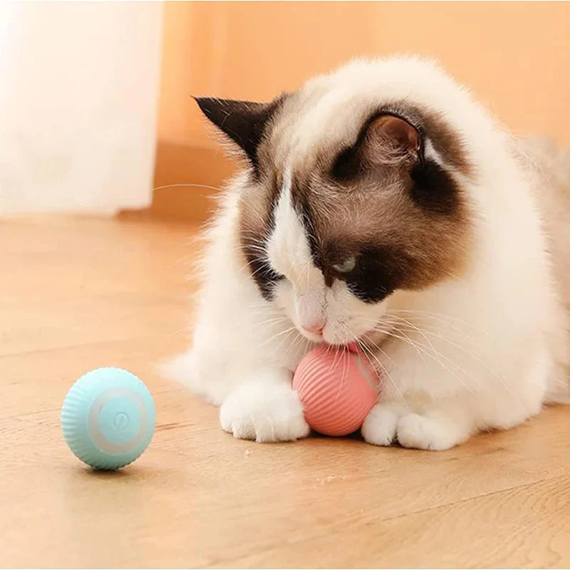 Pelota Inteligente Para Mascotas - Imagen 4