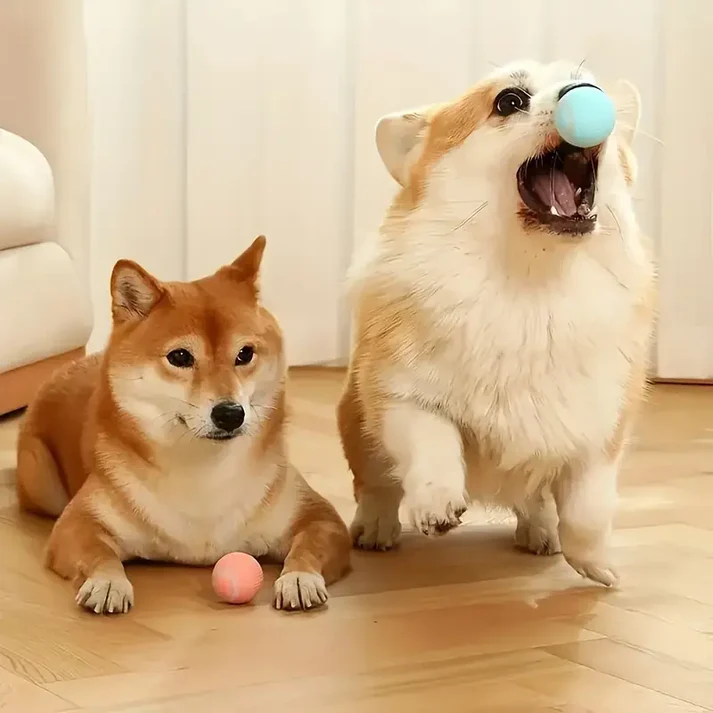 Pelota Inteligente Para Mascotas - Imagen 2